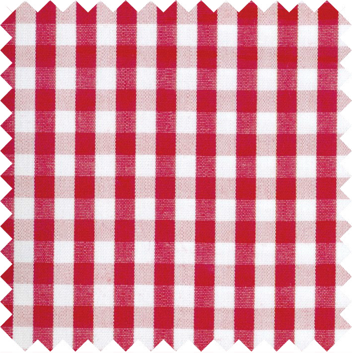 Rood geruit shirt